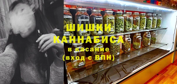 шишки Алексин
