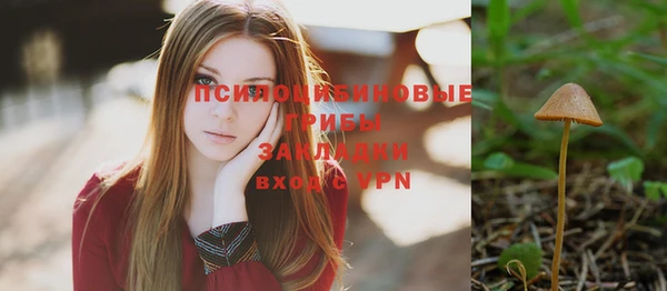 СК Алексеевка