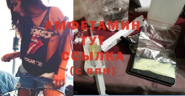 шишки Алексин