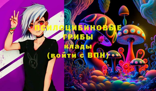 шишки Алексин