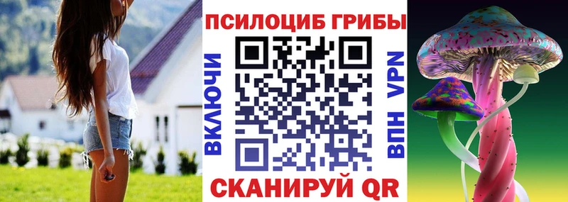 Псилоцибиновые грибы Psilocybine cubensis купить Балашов